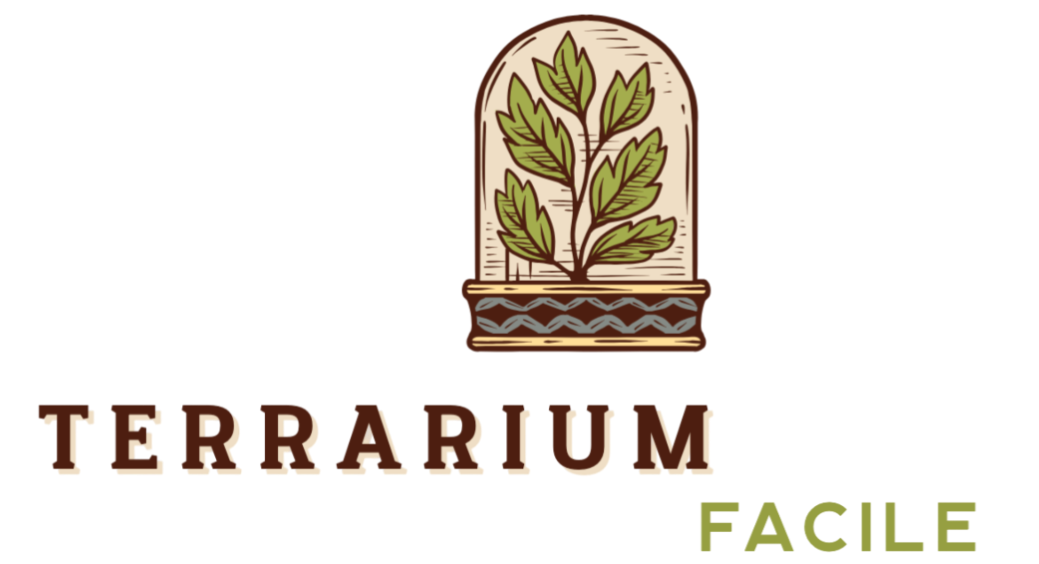 Terrarium Facile