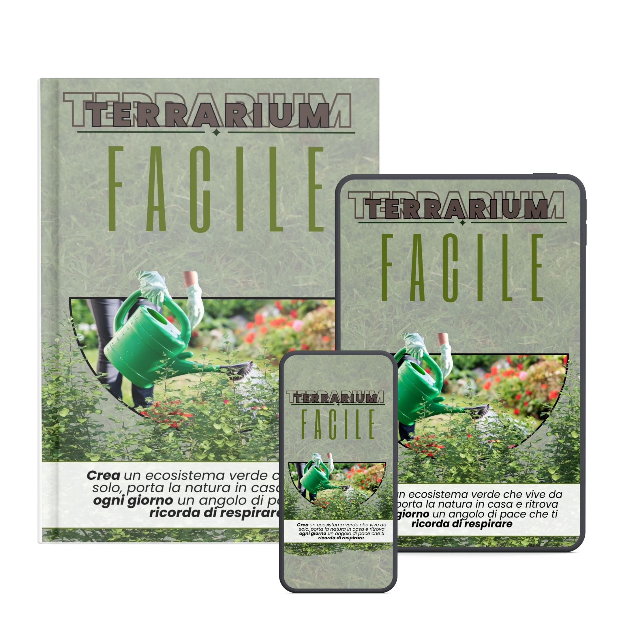 Terrarium Facile